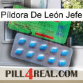 Píldora De León Jefe new03